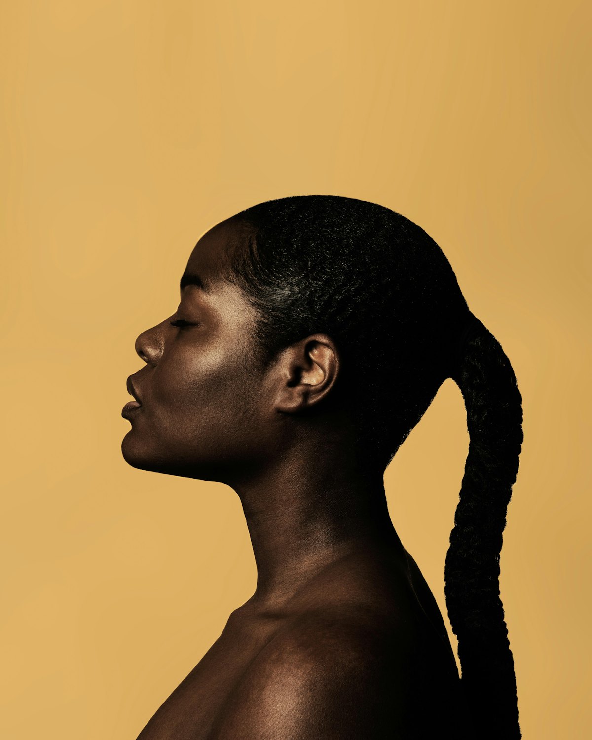 Profil d’une femme aux longues tresses sur fond ocre